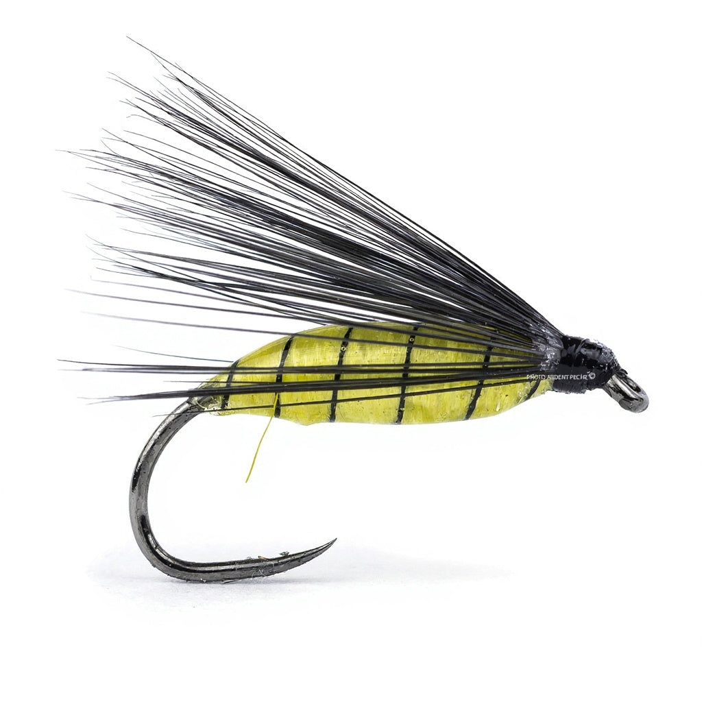 Drowned DEVAUX Fly PAL 01