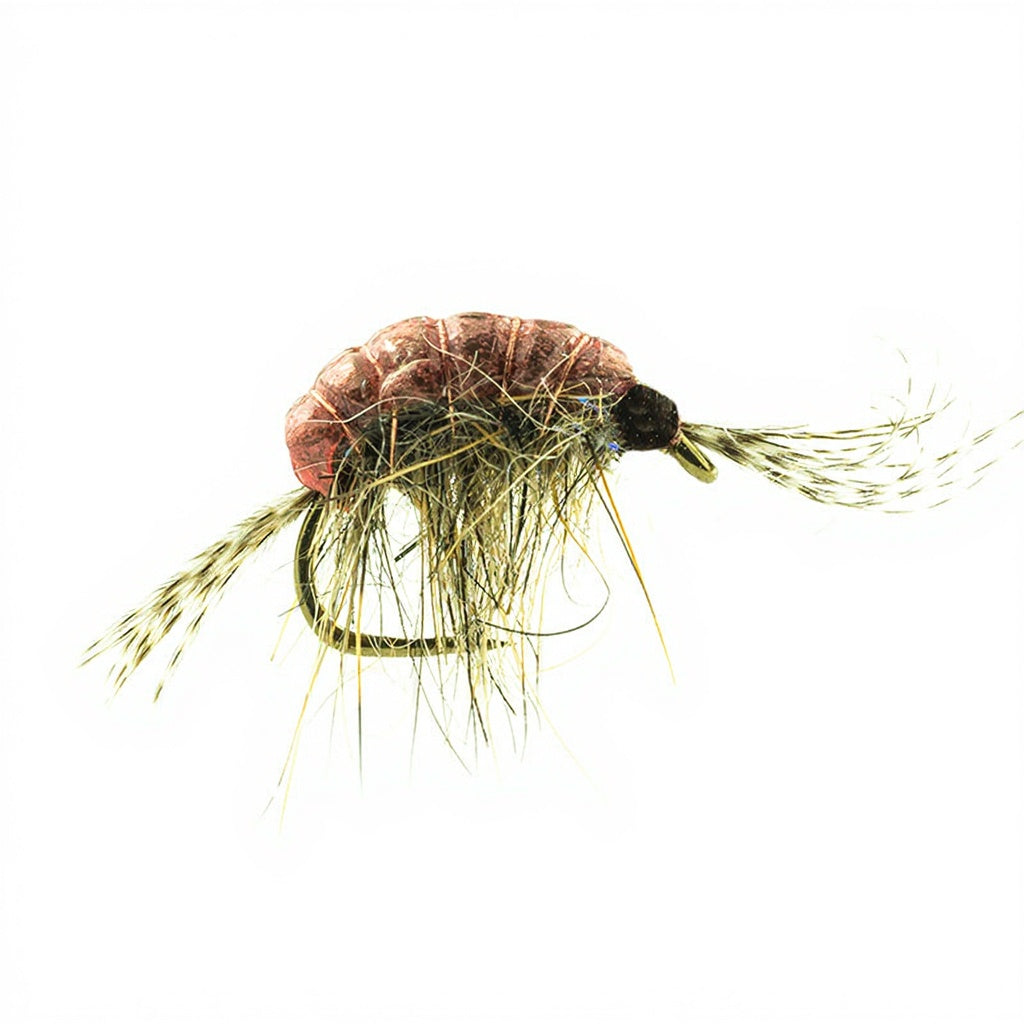DEVAUX Fly Wolfram Gammarus GAMT 02
