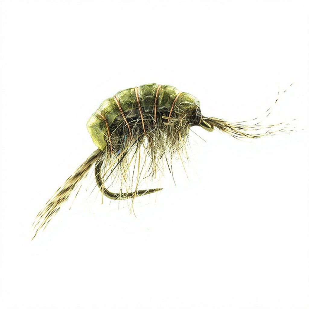 DEVAUX Fly Wolfram Gammarus GAMT 03