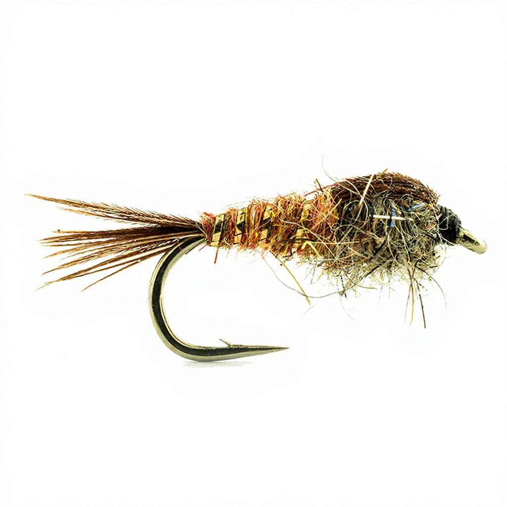 Mouche DEVAUX Nymphe HPN 03