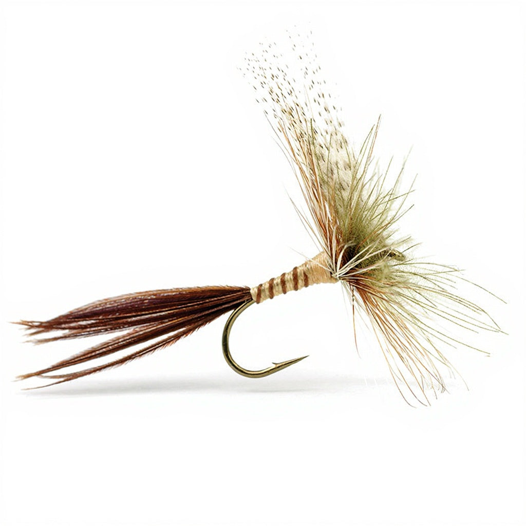 Mouche DEVAUX Séche C606