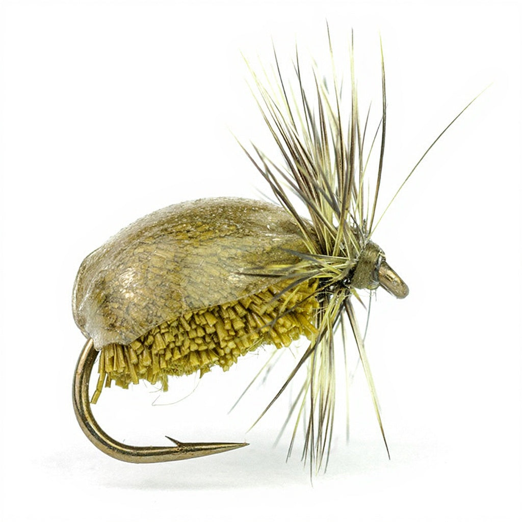 DEVAUX Ground Fly JBT 02