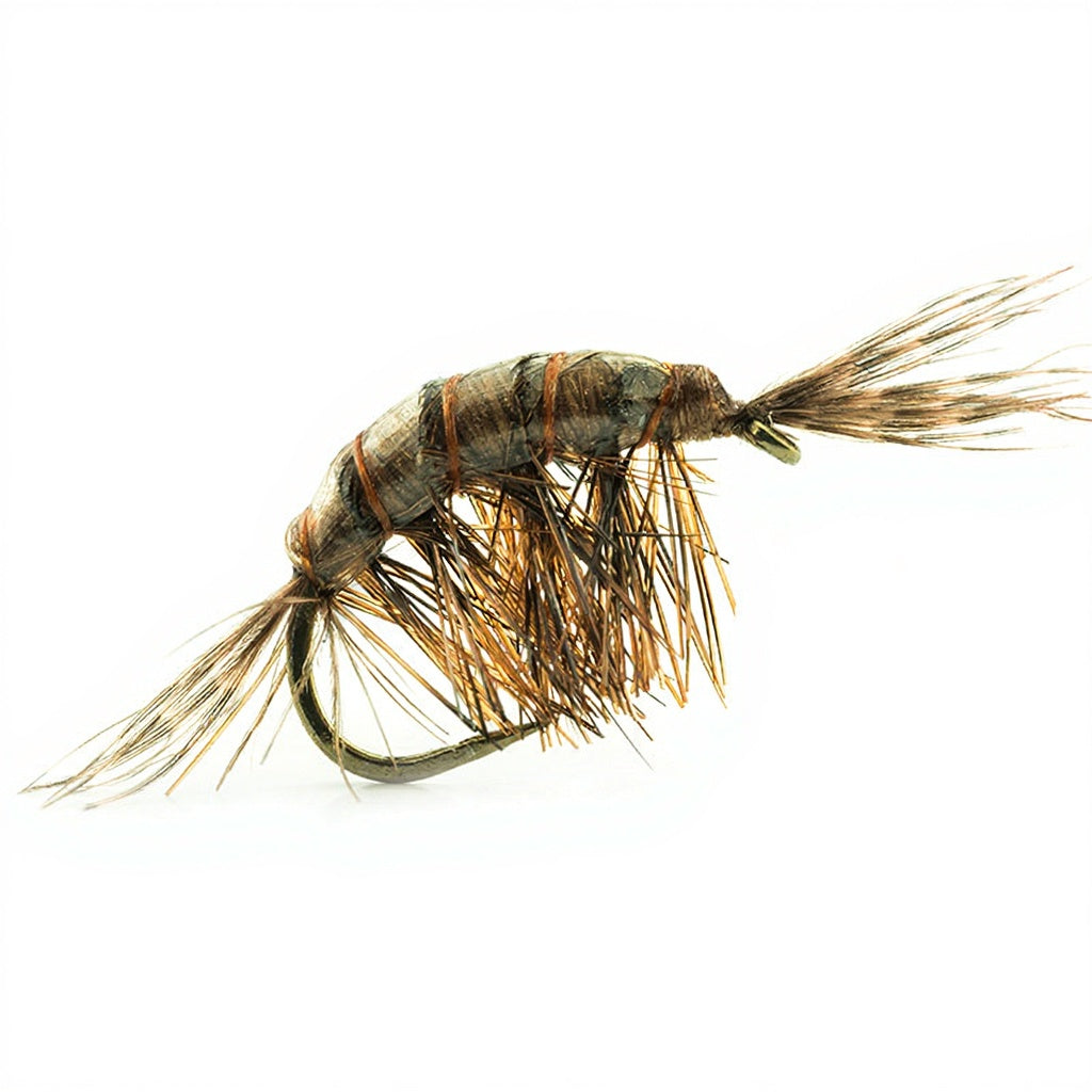 DEVAUX fly, JBGL Gammarus 10