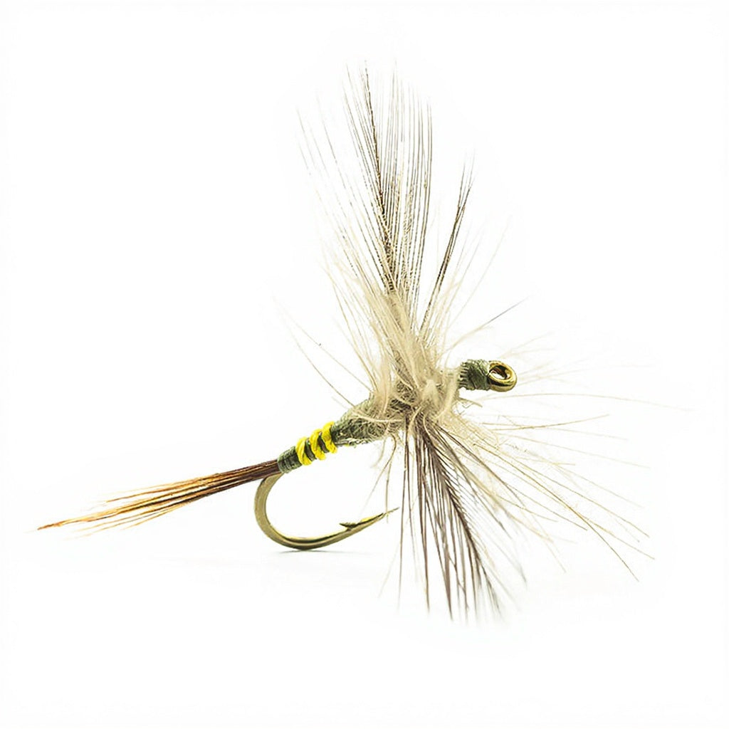 DEVAUX Spent 245C Fly