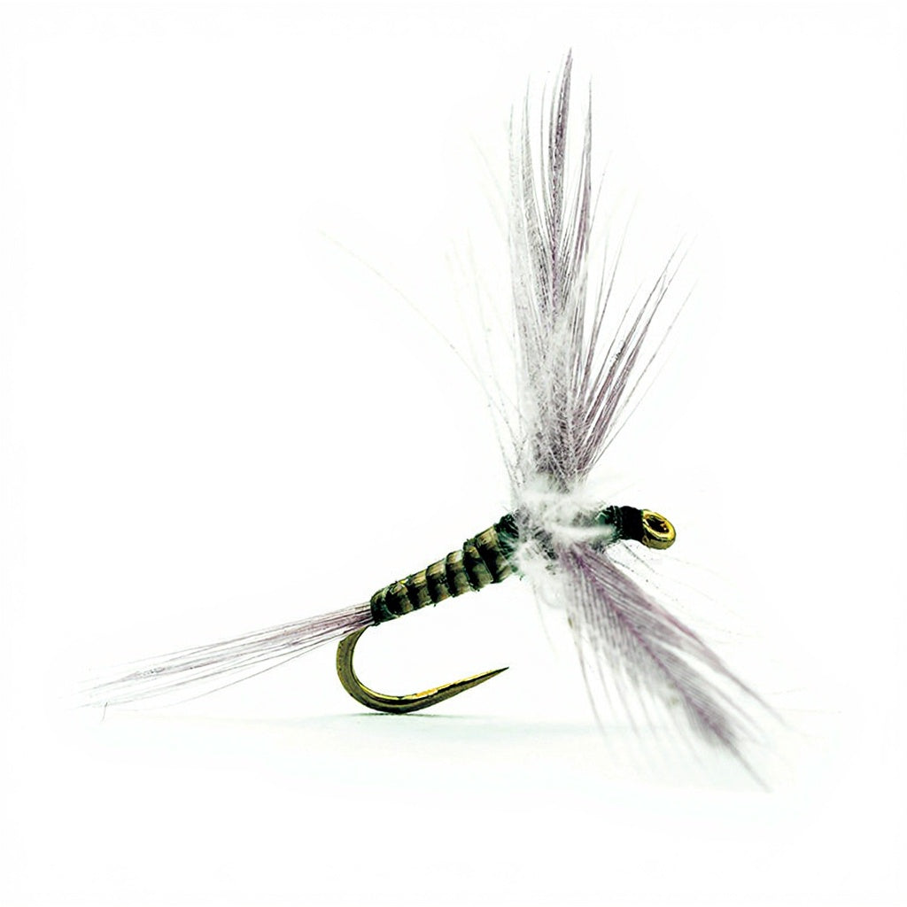 DEVAUX Spent 247C Fly