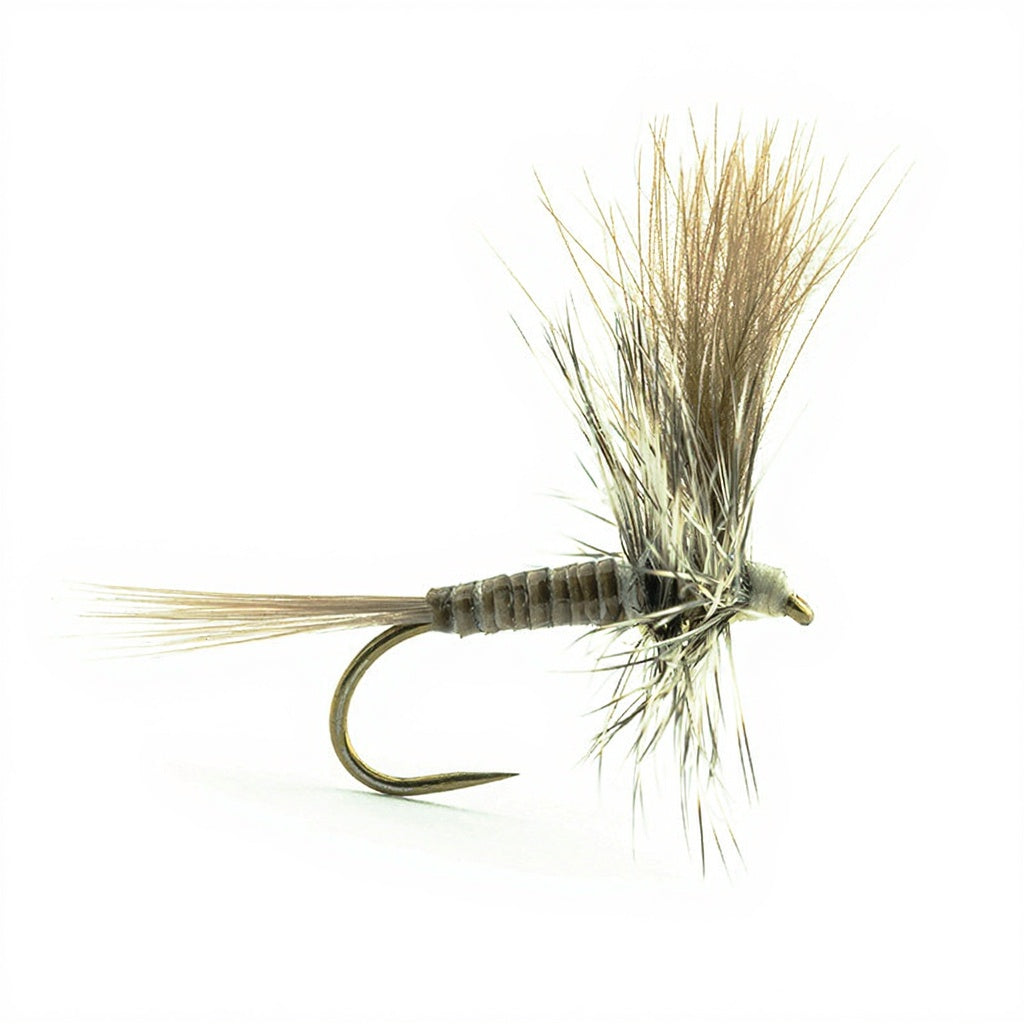 DEVAUX Spent PK01 Fly