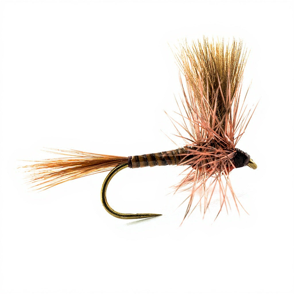 DEVAUX Spent PK03 Fly