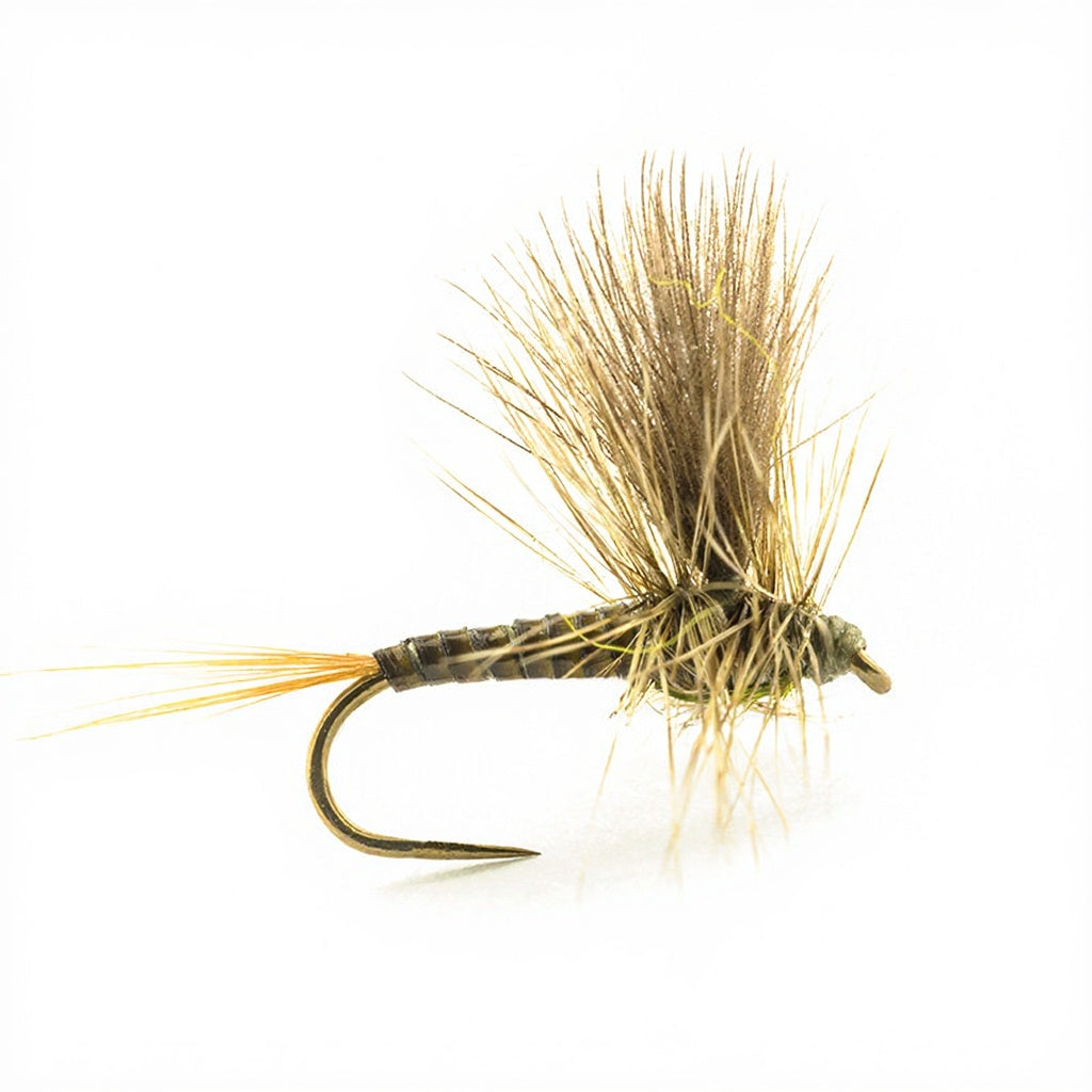 DEVAUX Spent PK04 Fly