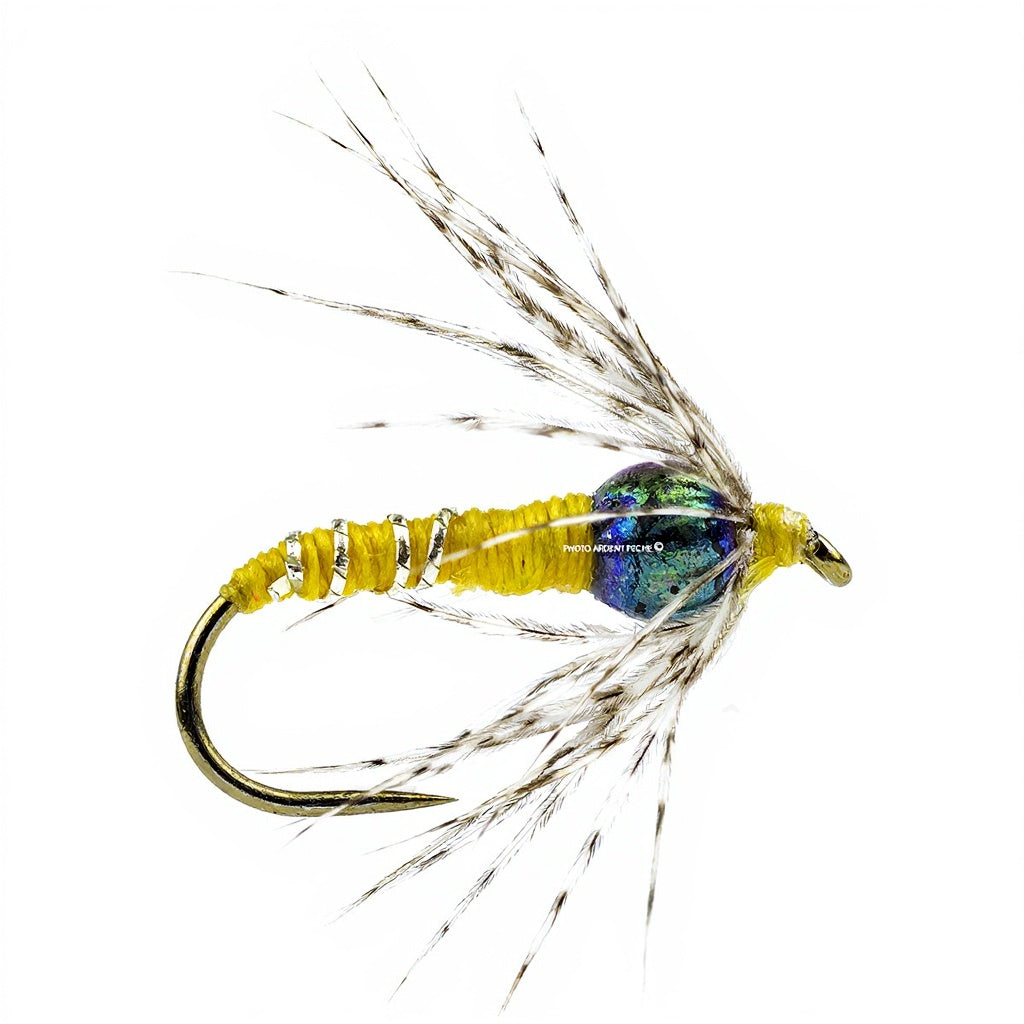 Drowned DEVAUX Fly NTT 02