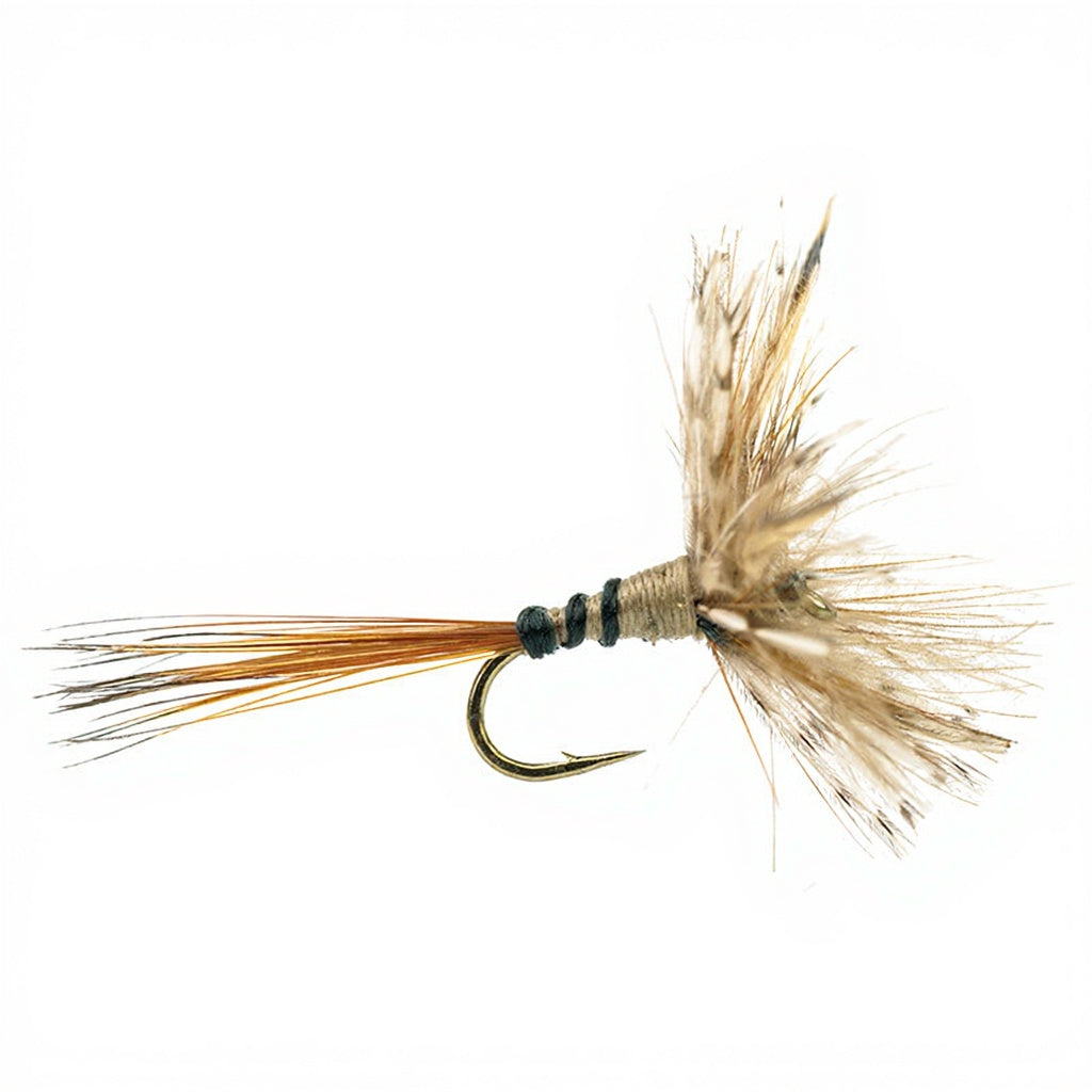 DEVAUX Dry Fly 700C