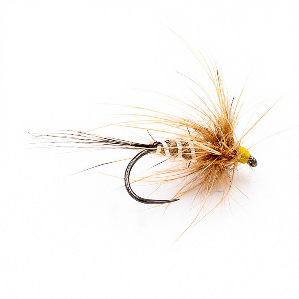 DEVAUX Fly Emerging HL 05