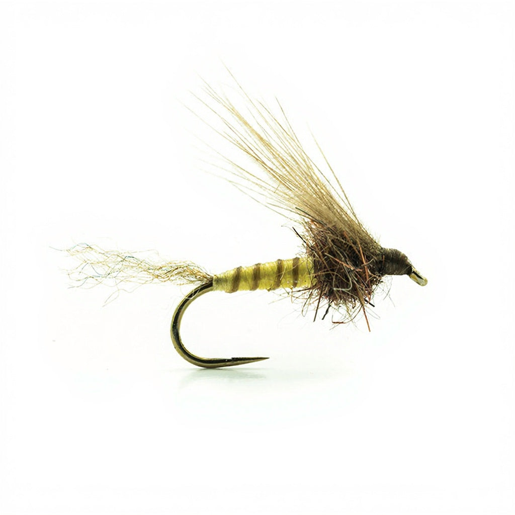 Mouche DEVAUX Emergente JBE 01