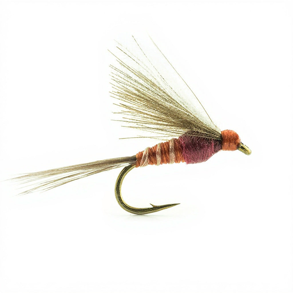Mouche DEVAUX Emergente JBE 02