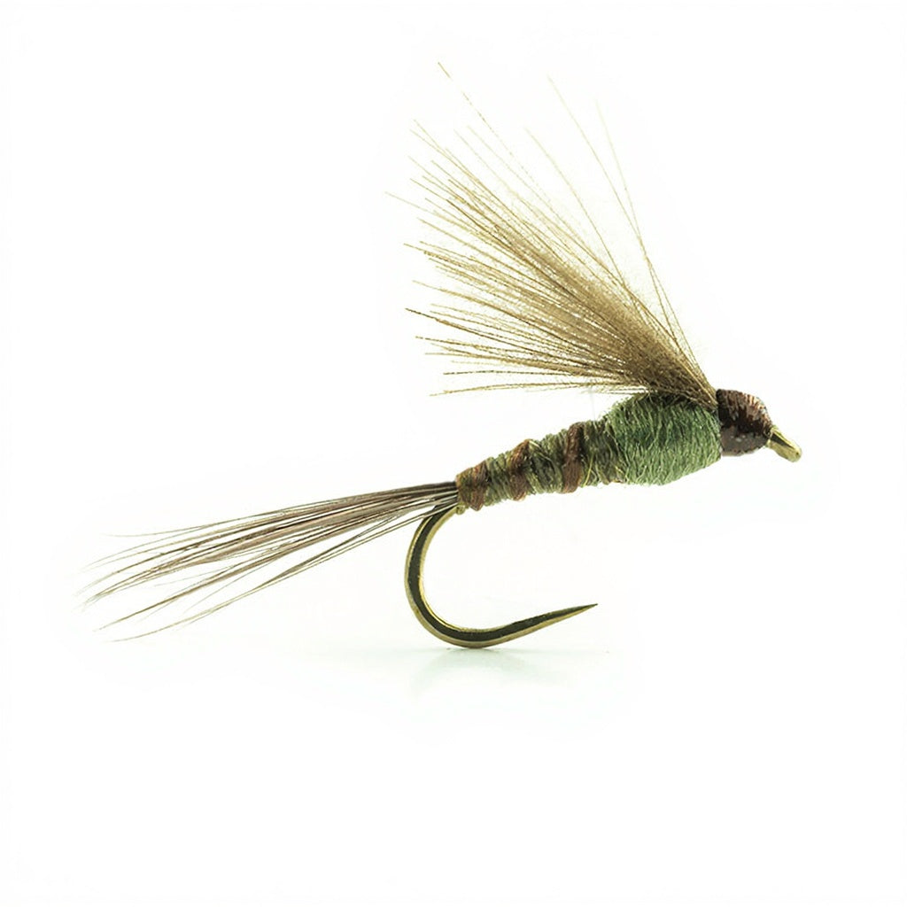 Mouche DEVAUX Emergente JBE 03