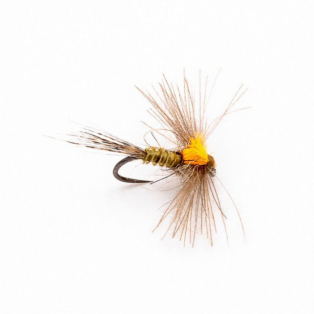 DEVAUX Fly Emerging JBE 07