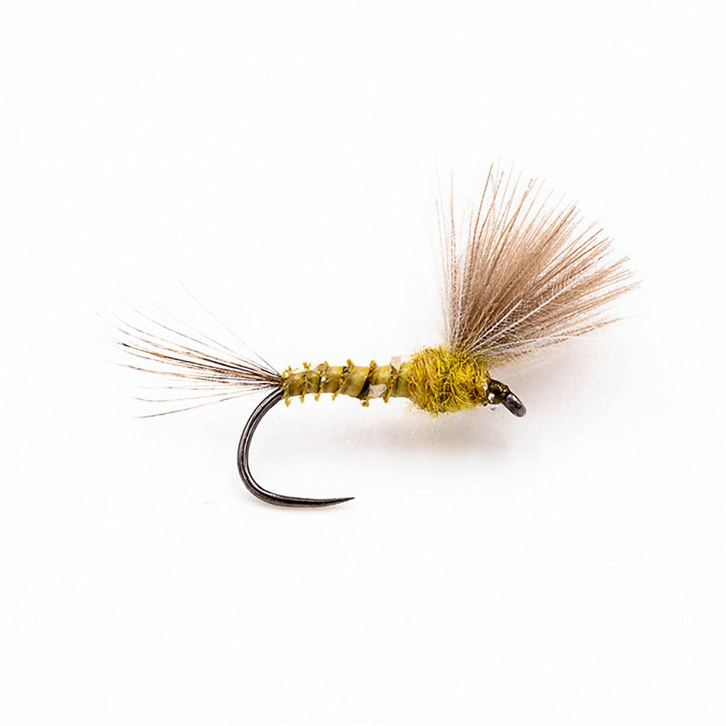 Mouche DEVAUX Emergente JBE 11