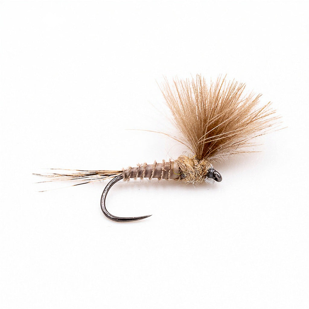 DEVAUX Fly Emerging JBE 12