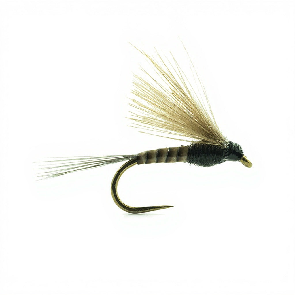 DEVAUX Fly Emerging JBE 46
