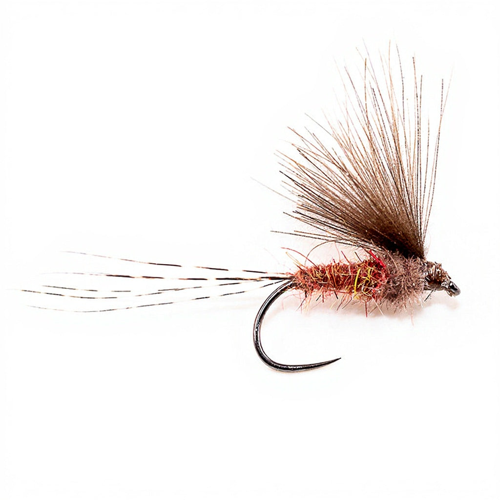 DEVAUX Fly Emerging JBE 51