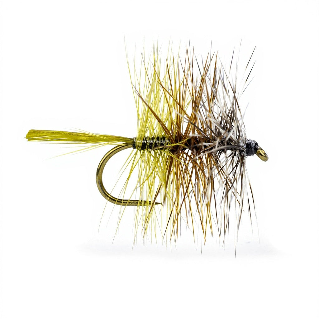 DEVAUX Palmer TT 02 Fly