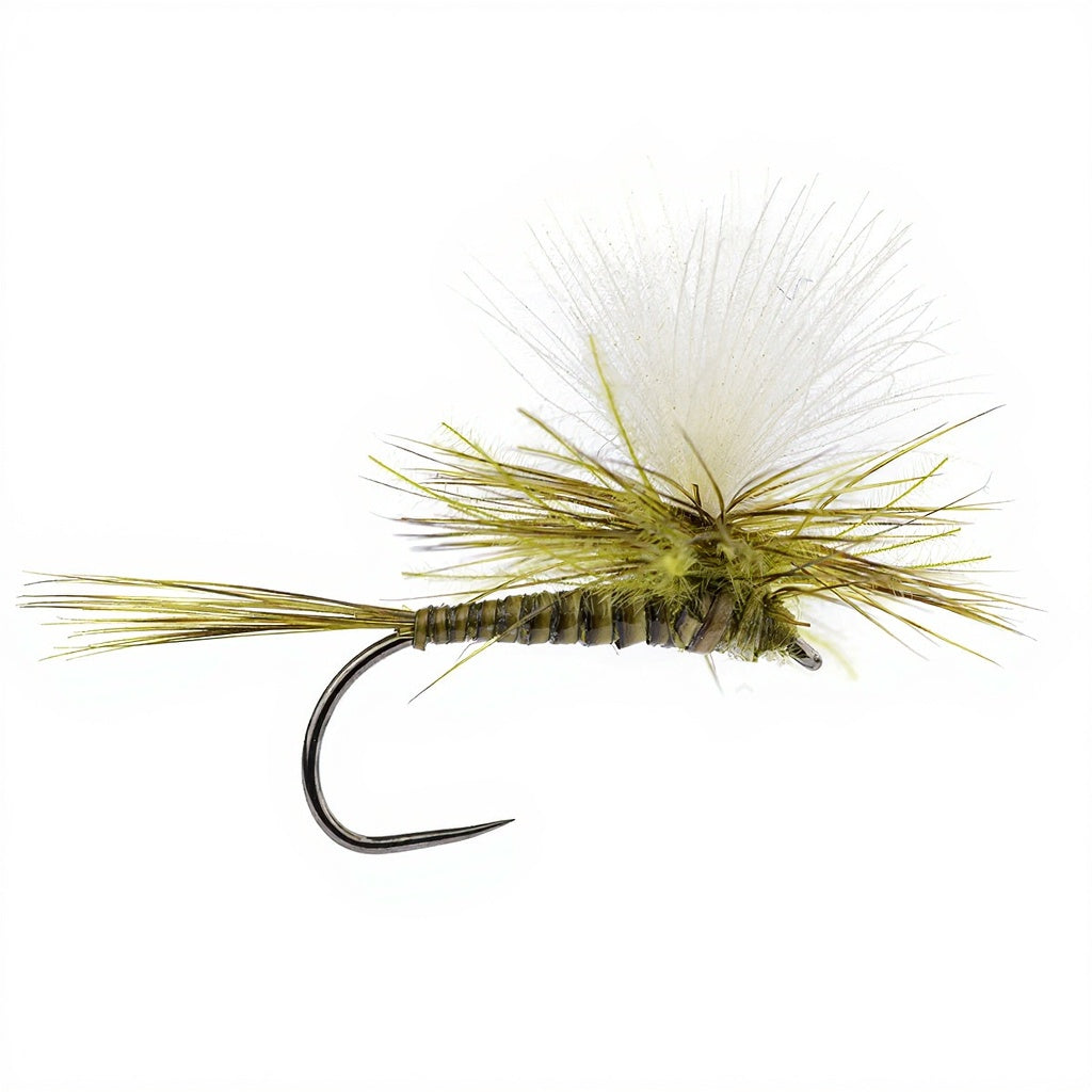 DEVAUX Parachute P 10QC Fly
