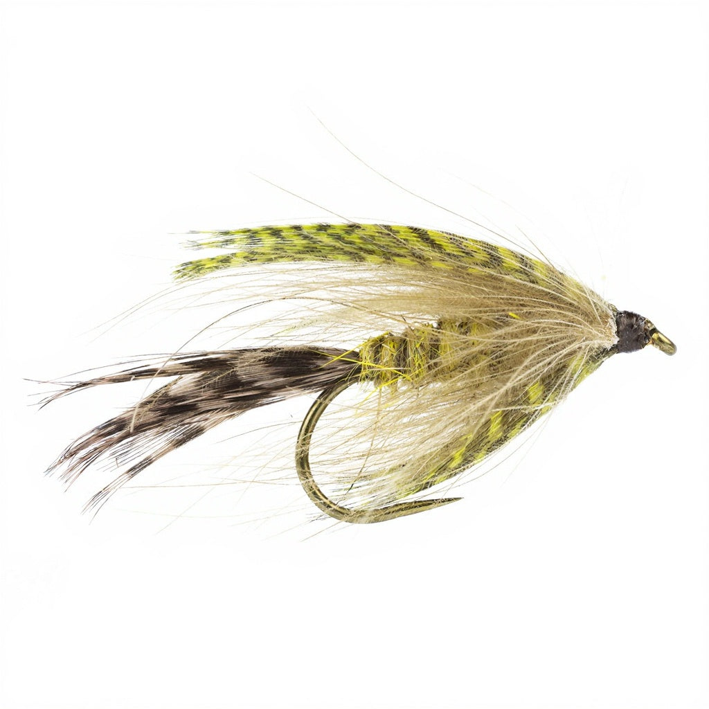 DEVAUX Fly Emerging JBMAI 01