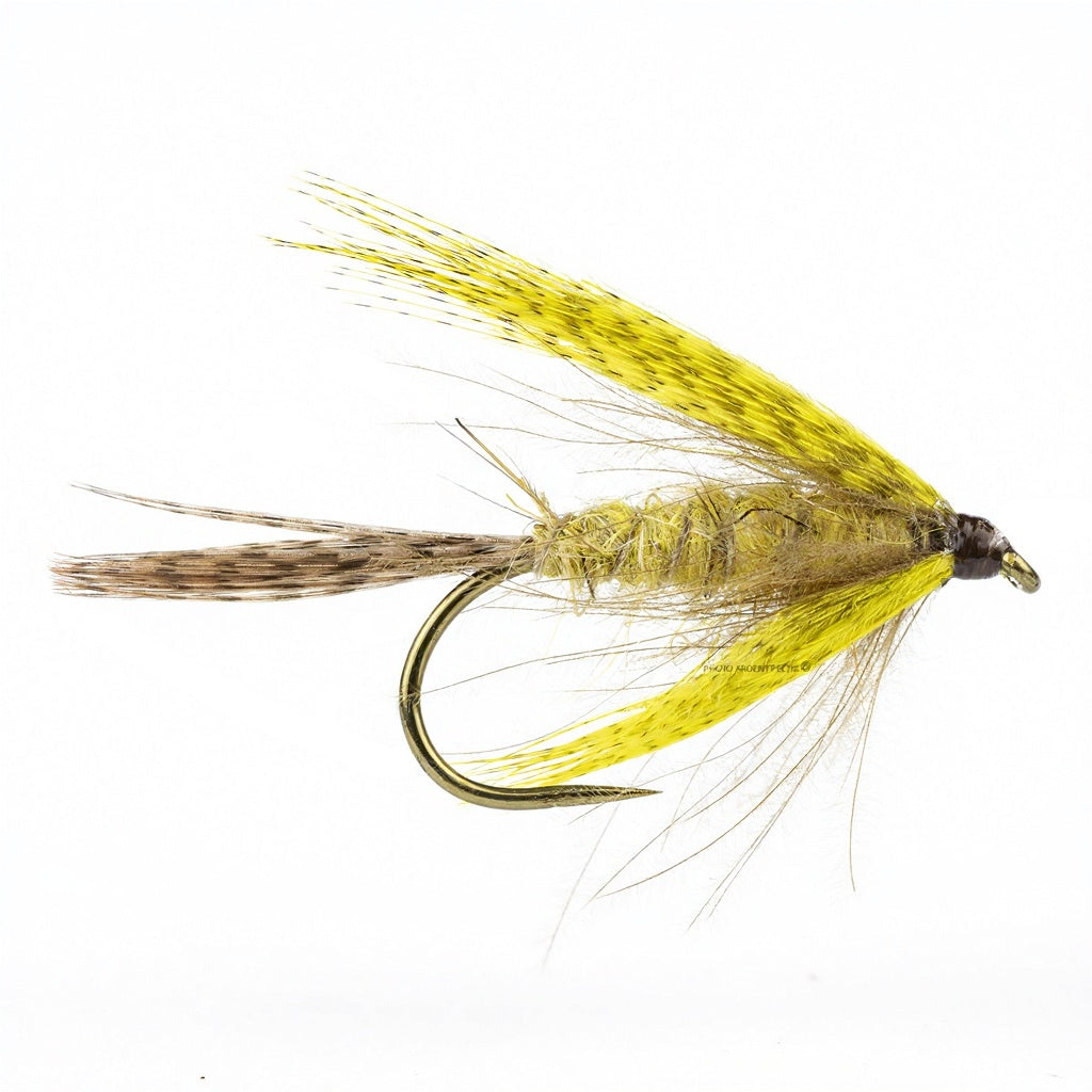 Mouche DEVAUX Emergente JBMAI 02