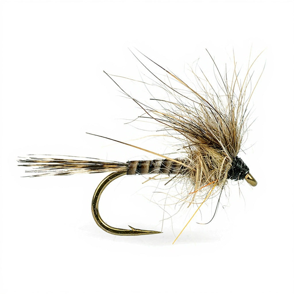 DEVAUX Fly Emerging JBE 48