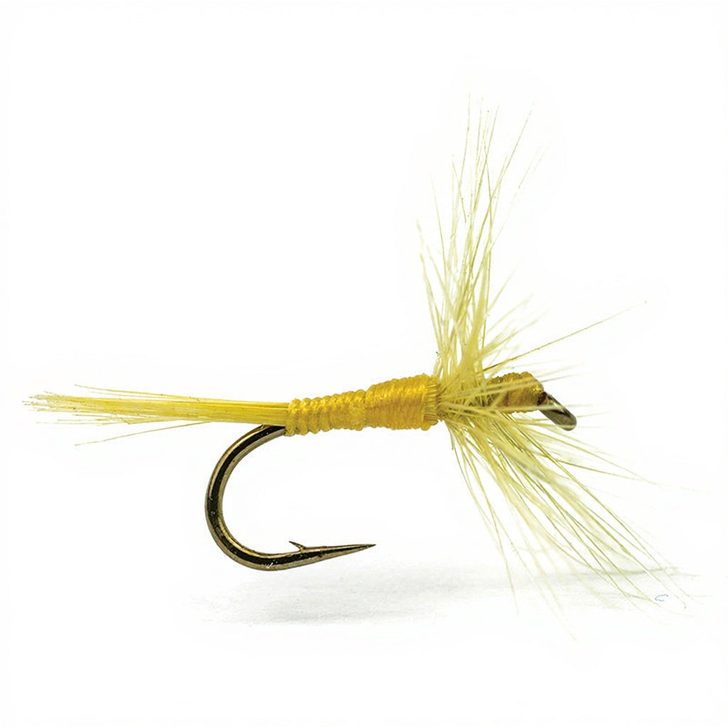 Mouche DEVAUX Séche 971