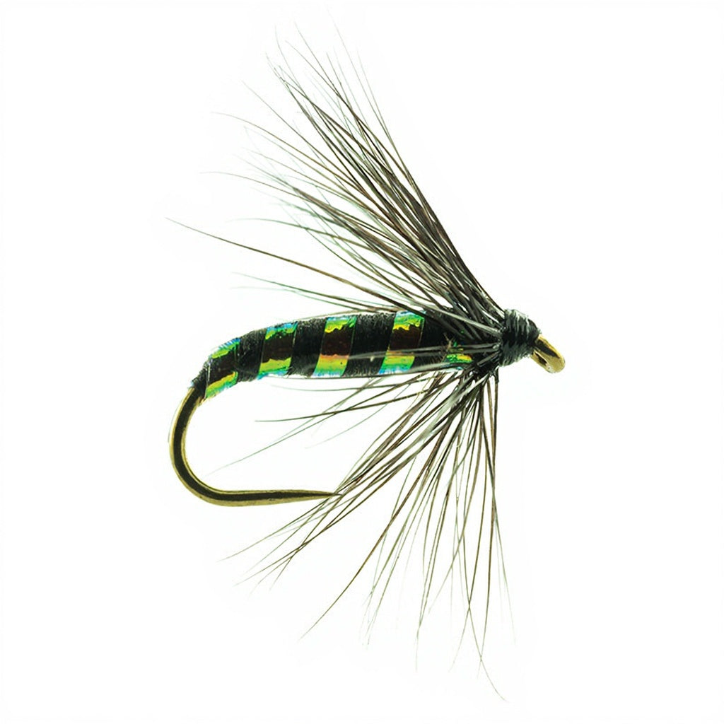 Drowned DEVAUX Fly JBNO 11