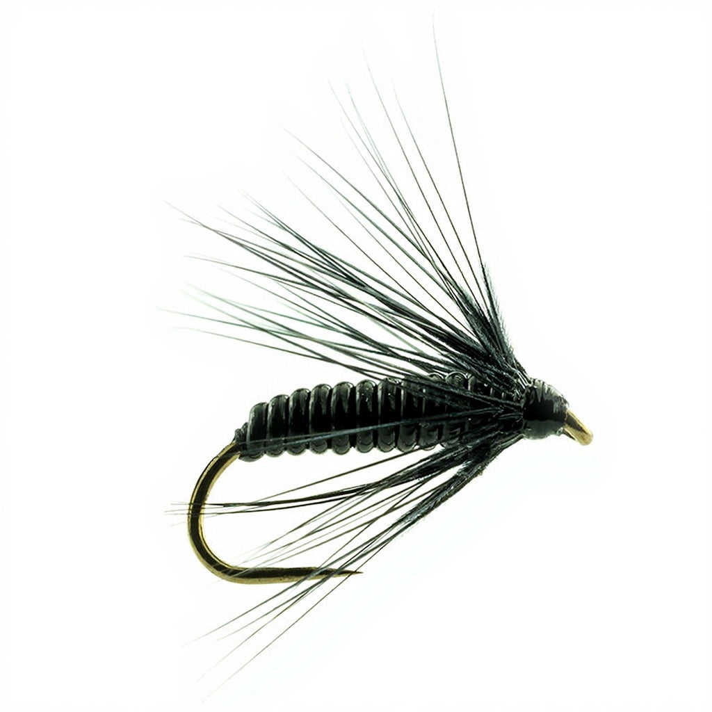 Drowned DEVAUX Fly JBNO 04