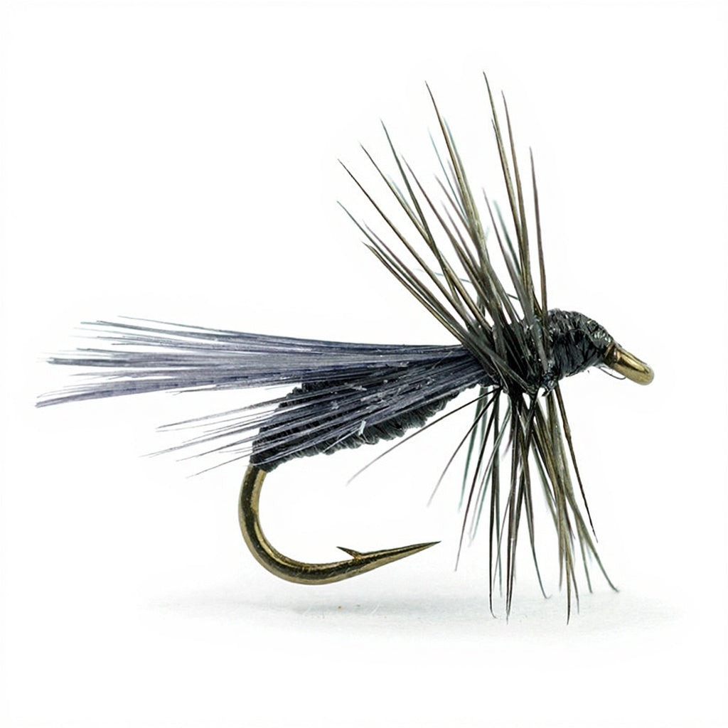 DEVAUX Fliege, Bodenameise, B527