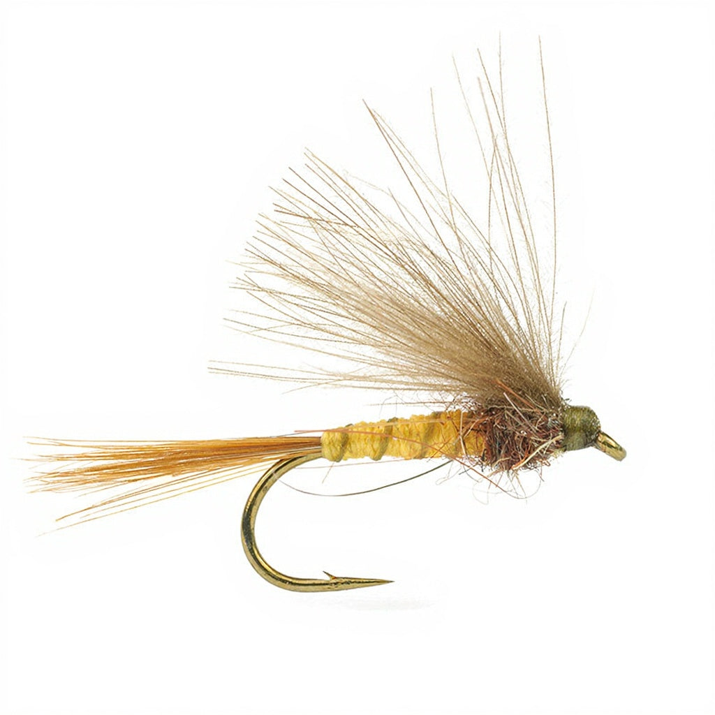 DEVAUX Fly Emerging JBE 20