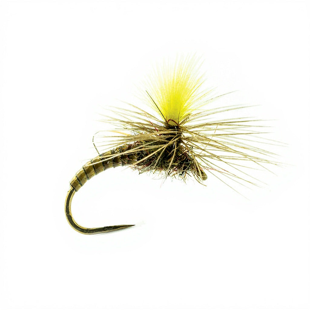 DEVAUX Fly Parachute JBE 41
