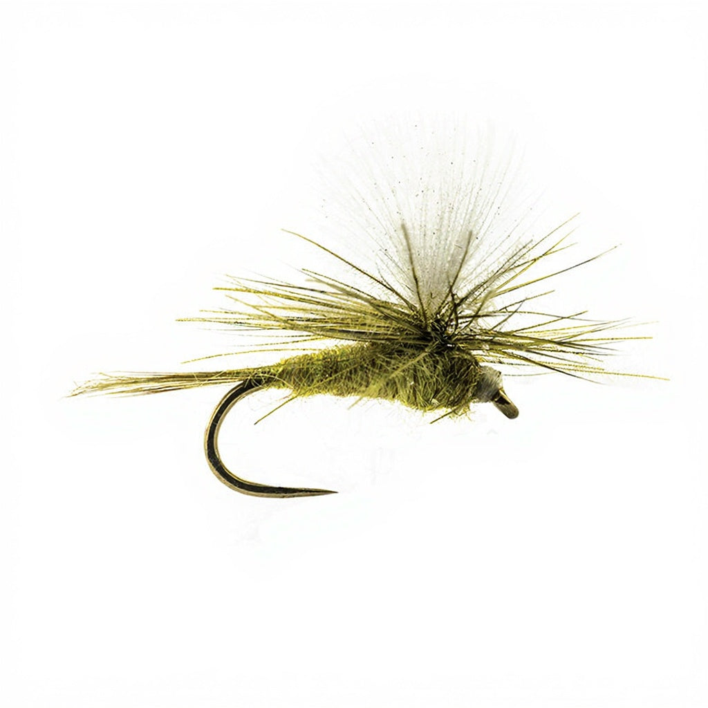 DEVAUX Parachute P 02C Fly