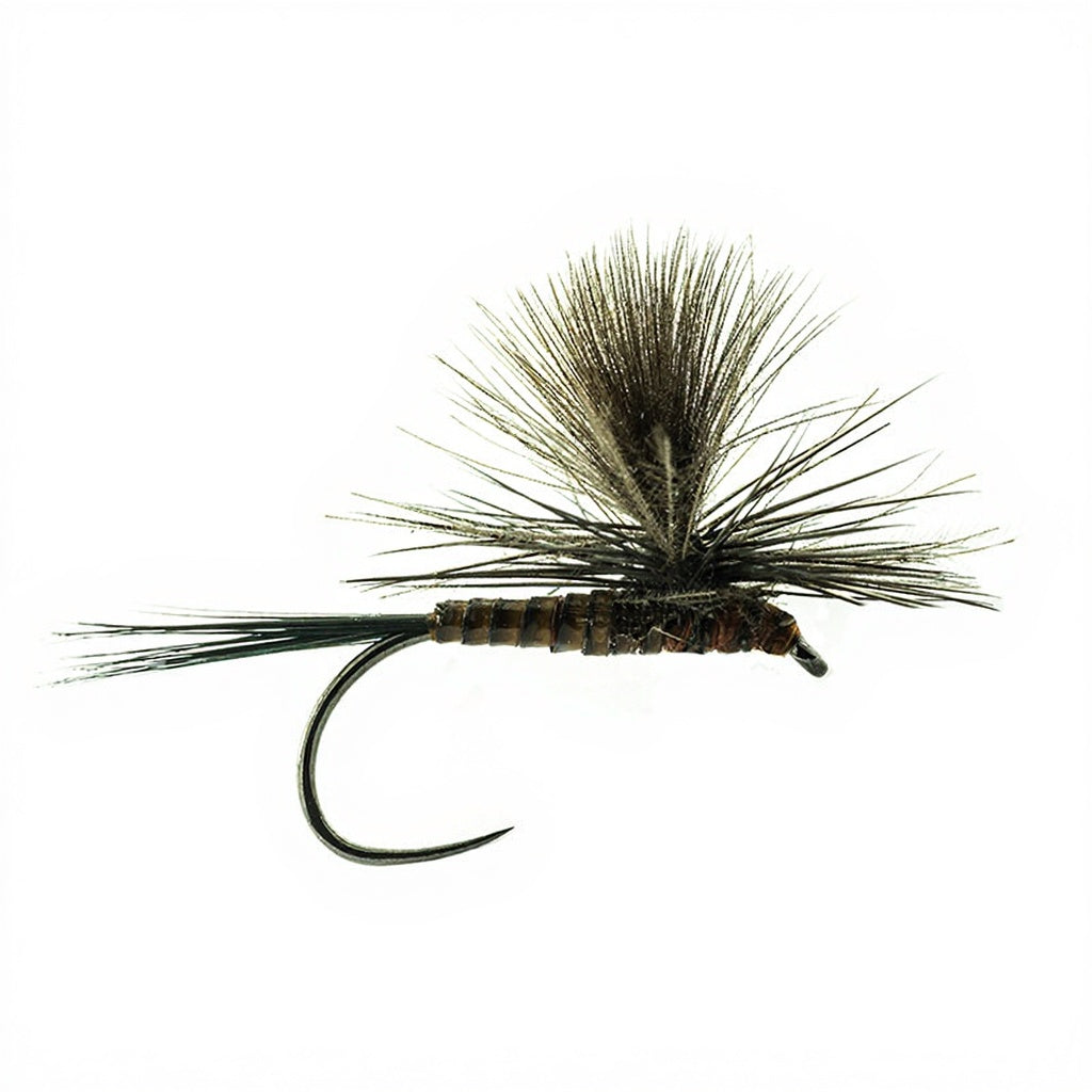 DEVAUX Parachute P 12QC Fly