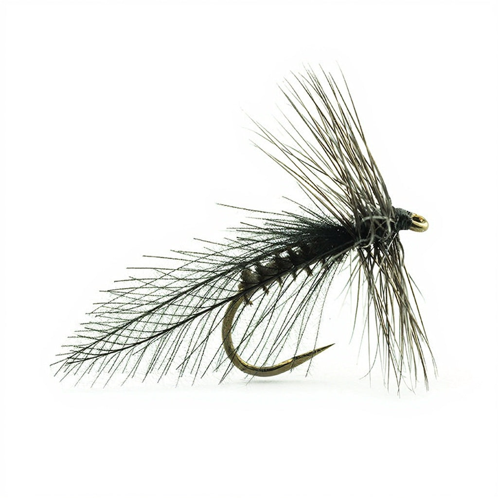 DEVAUX Sedge Carlite Fly