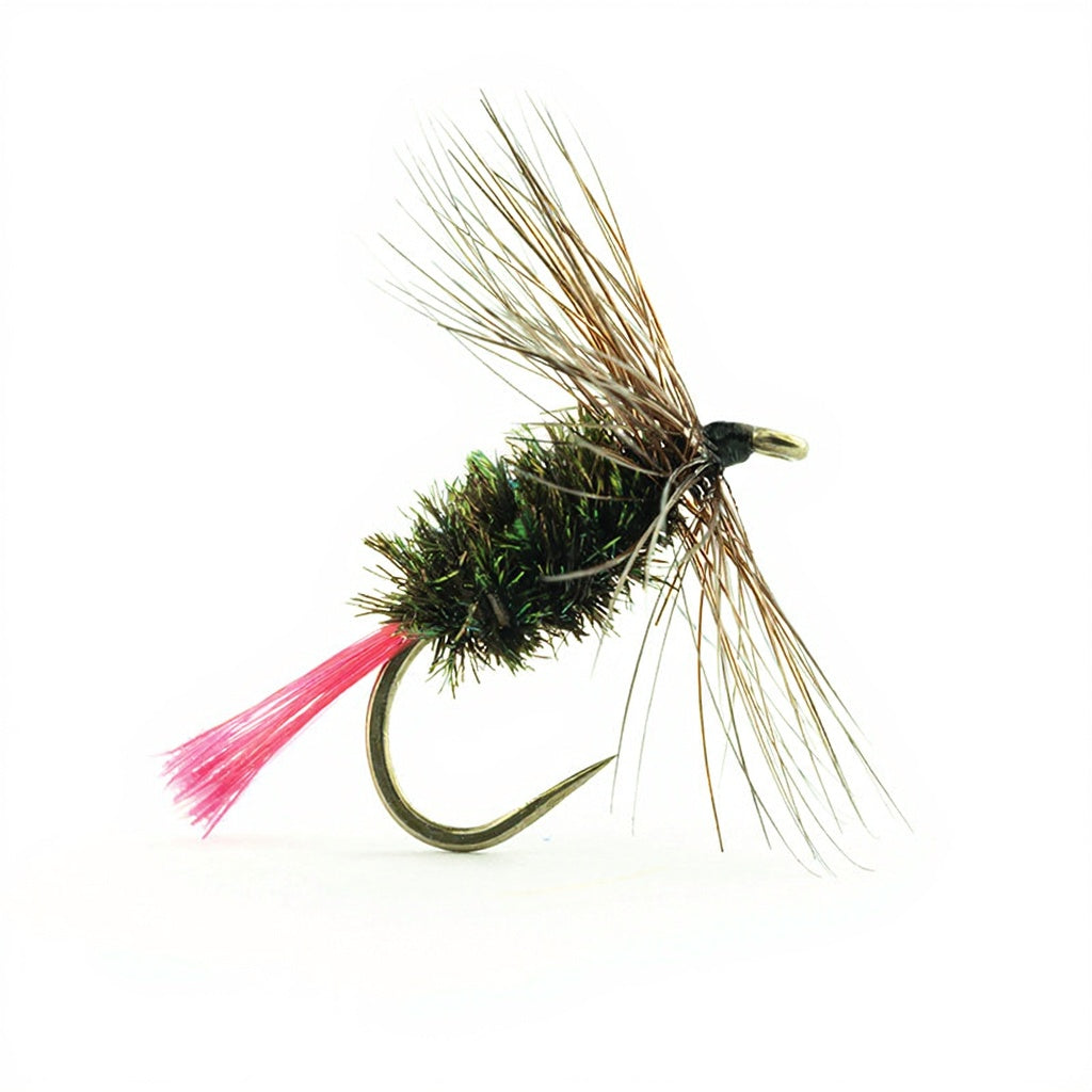 DEVAUX Fly Terrestrial 880