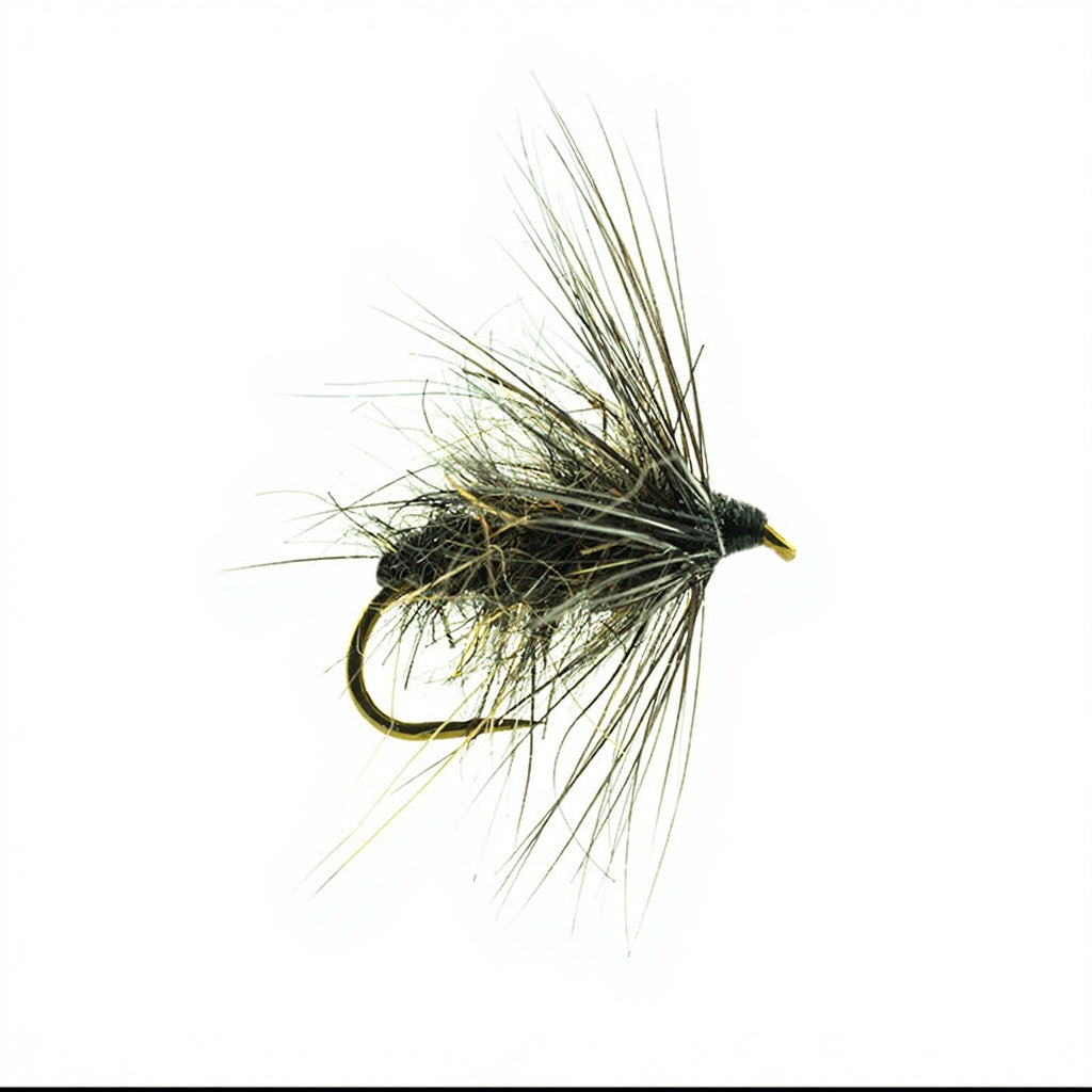 Drowned DEVAUX Fly JBNO 05