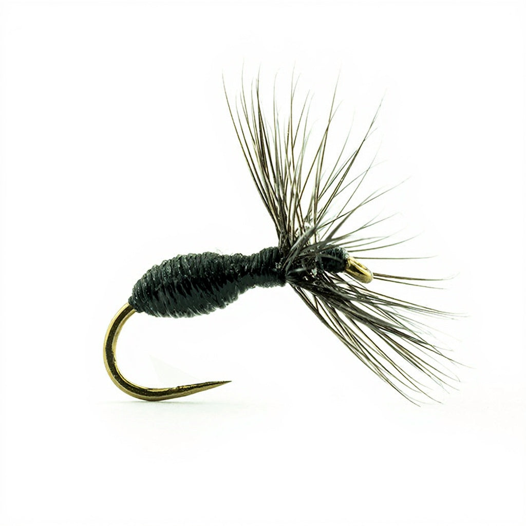 DEVAUX Fliege, Landameise, 527