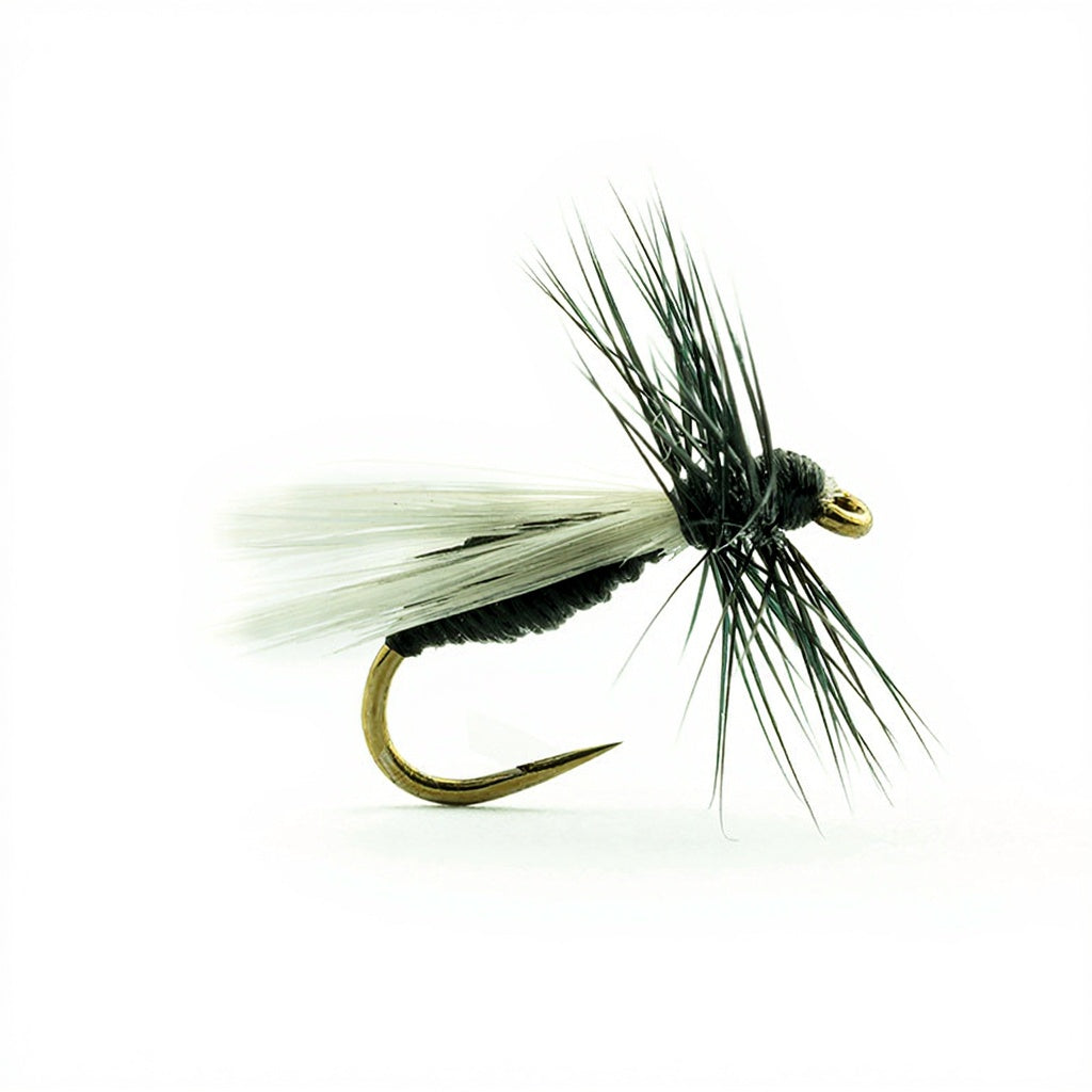 DEVAUX-Fliege, Landameise A510