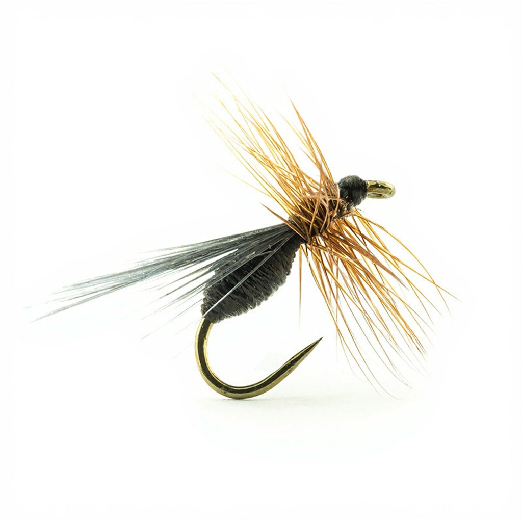 DEVAUX Fliege, Bodenameise B513C