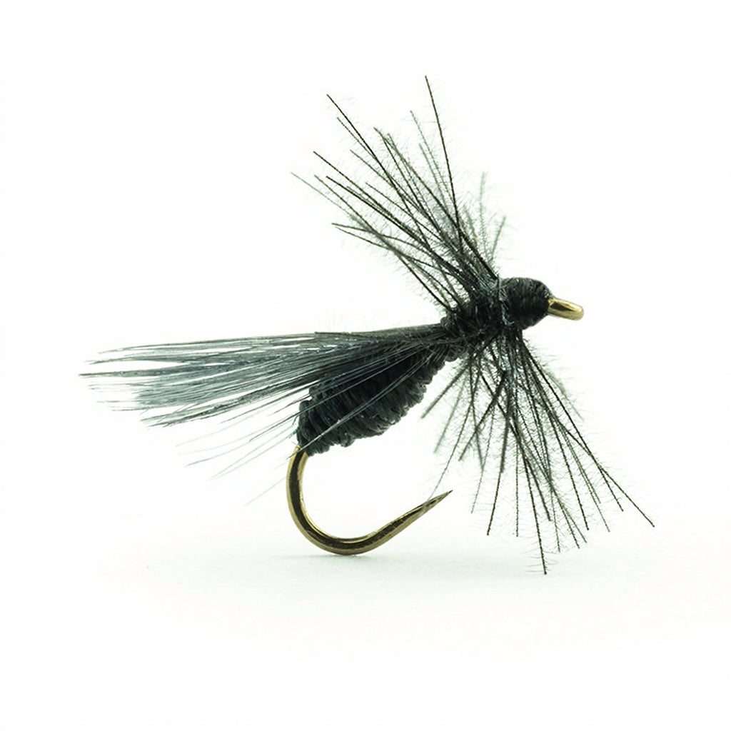 Mouche DEVAUX Terrestre fourmi B527C