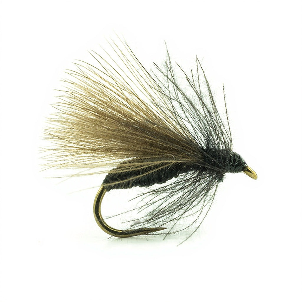 DEVAUX Fliege, Bodenameise, B528C