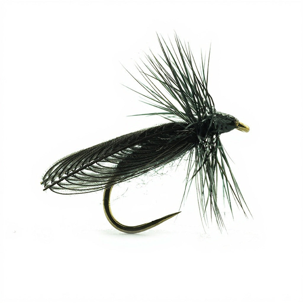 DEVAUX Ground Fly JBSIAL 01
