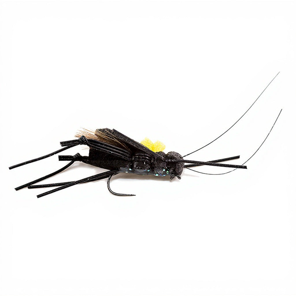 DEVAUX Ground Cricket Fly 02