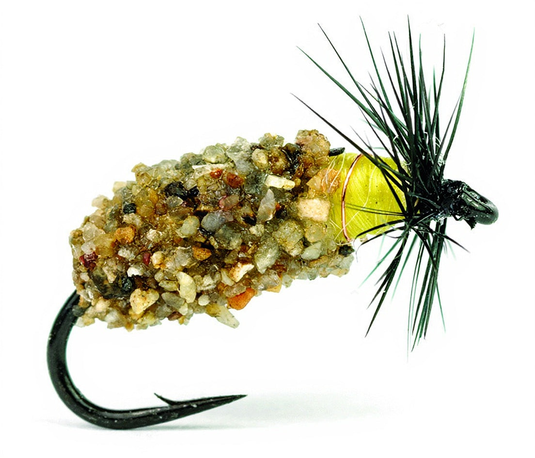 Mouche DEVAUX Nymphe LPP 02