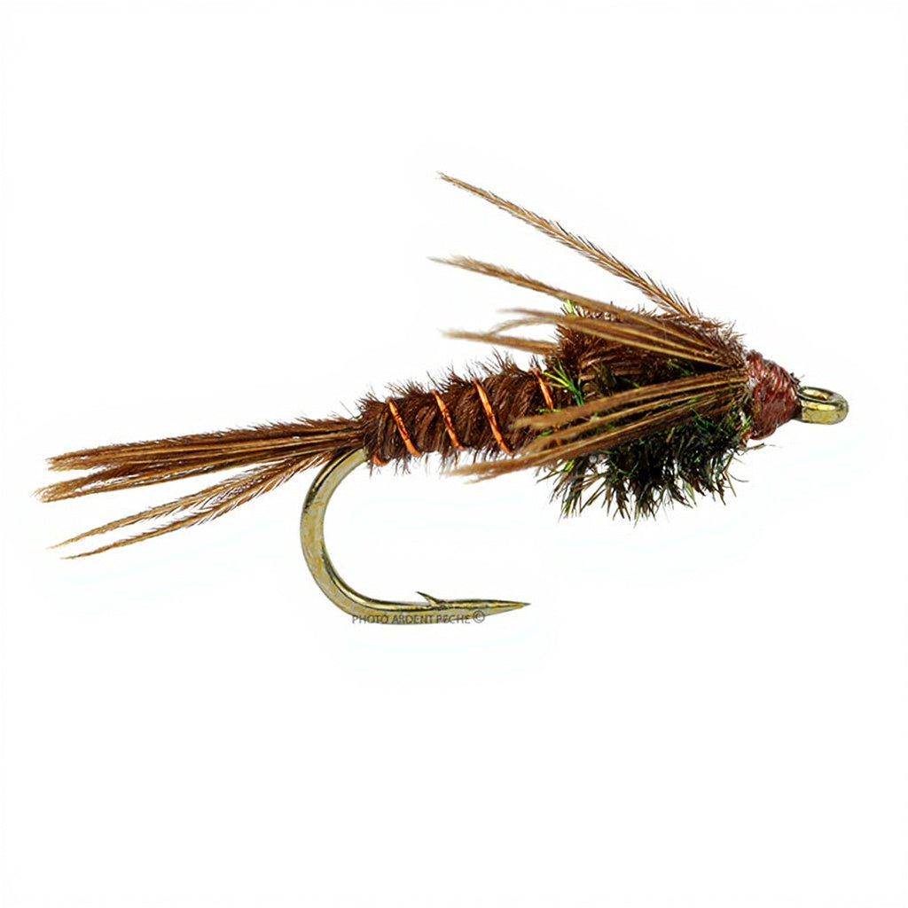 Mouche DEVAUX Nymphe PT 01