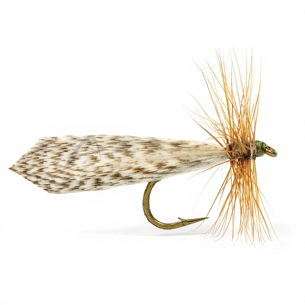 DEVAUX Sedge 426 Fly