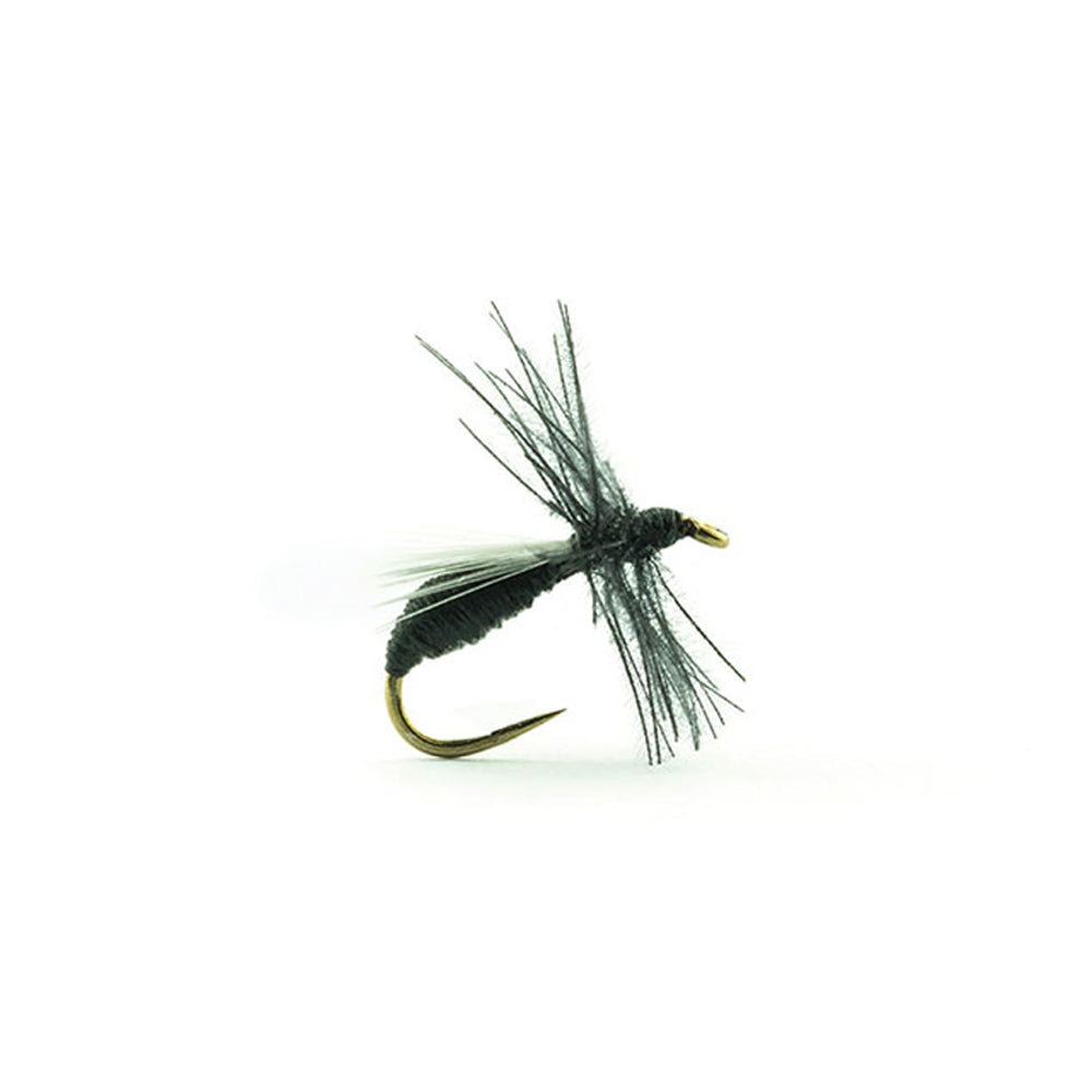 DEVAUX Fliegen-Bodenameise A510C